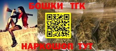 МДПВ Будённовск