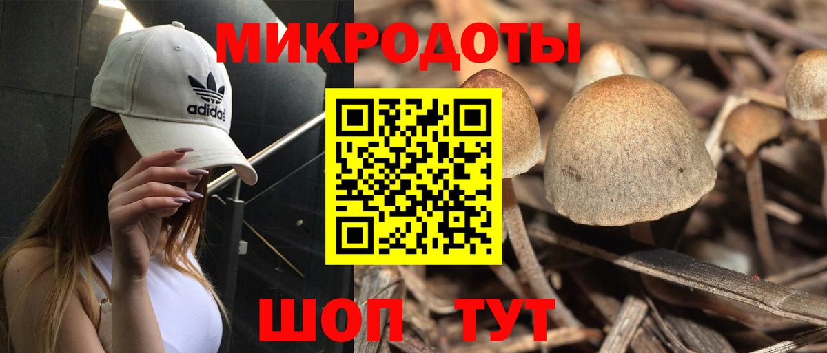Россошь  Галлюциногенные грибы прущие грибы  Галлюциногенные грибы Psilocybe  Вход с VPN 