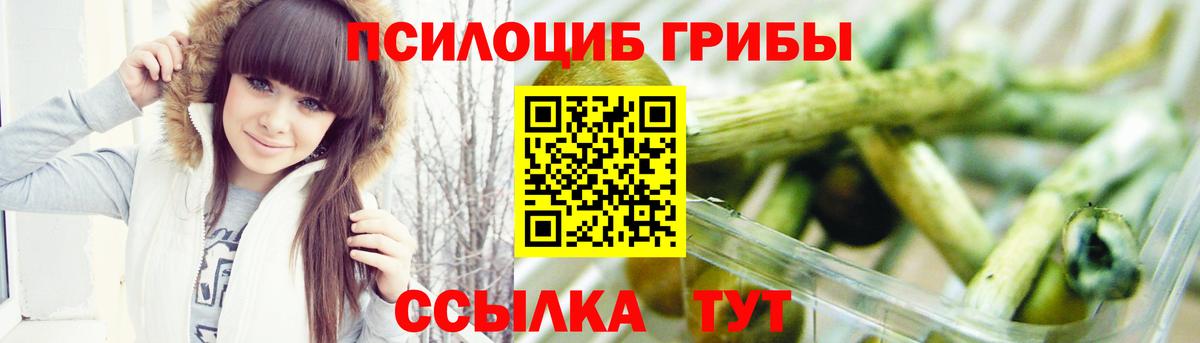 Псилоцибиновые грибы прущие грибы Россошь