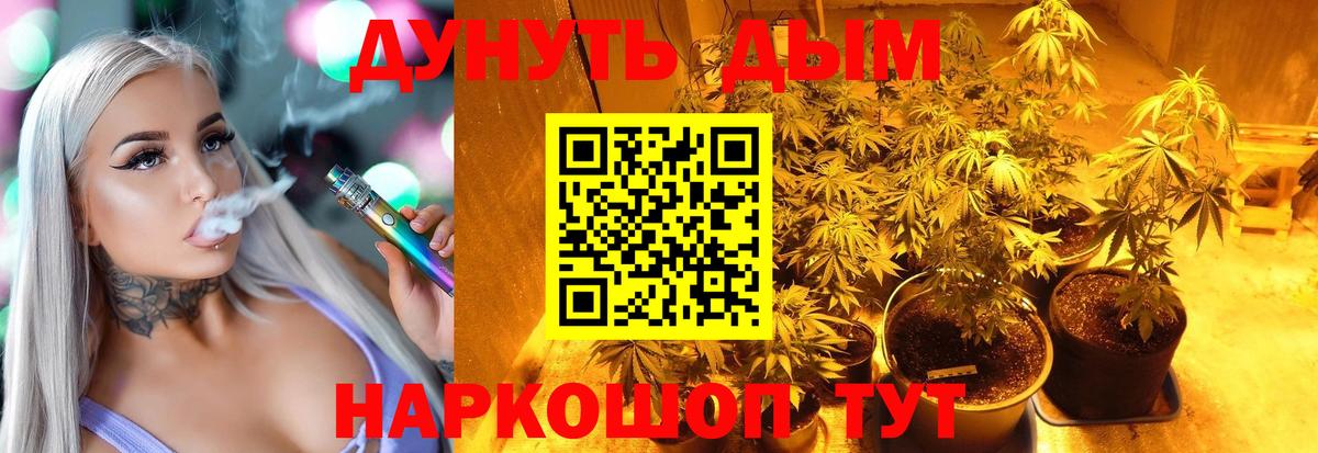 Бошки марихуана SATIVA & INDICA  Марихуана конопля  Вход с VPN  Конопля ГИДРОПОН  Марихуана тримм  Россошь 